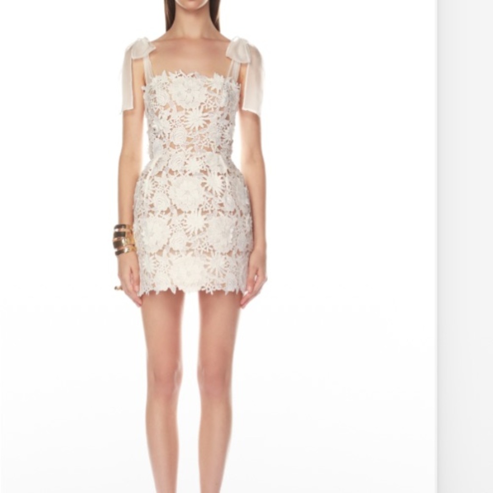 NWT Bronx and Banco Maia Appliqué Lace Fit & Flare Minidress